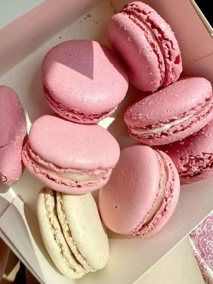 Rose Macarons